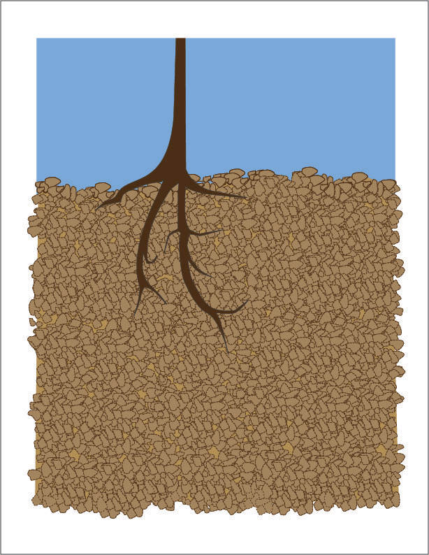 Deep Root Irrigation animation